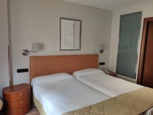 a hotel room with a bed and a desk at Carlos V Malaga in Málaga