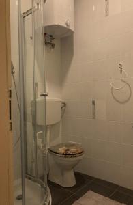 a bathroom with a toilet and a glass shower at Apartment 19 Vila Golf Nice Vacation in Rogaška Slatina