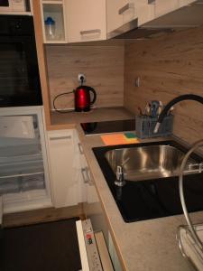 una pequeña cocina con fregadero y microondas en Apartment 19 Vila Golf Nice Vacation, en Rogaška Slatina