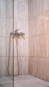 Gallery image of Kolev Apartments - Two Bedroom Cozy Central Apartment in Skopje