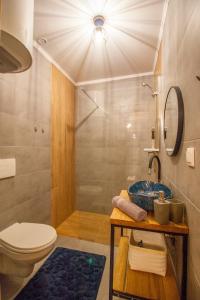 a bathroom with a sink and a toilet and a shower at Z Bieszcza Rodem in Ustrzyki Dolne +65 photos