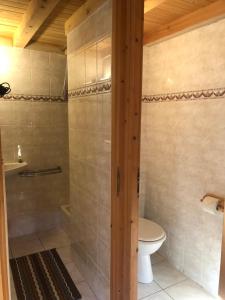 a bathroom with a toilet and a shower at Chalet Chardon in Morzine +25 photos