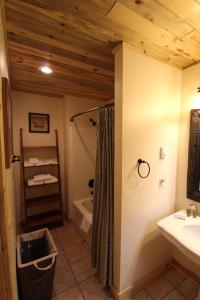 a bathroom with a shower and a sink and a tub at Wapiti Lodge in Wapiti
