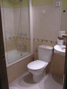 a bathroom with a toilet and a shower and a sink at Hostal Rural Las Cuatro Calles in San Martín del Pimpollar