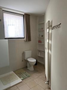 a bathroom with a toilet and a window at Apartment de Kerk in Sint-Gillis-Waas +8 photos