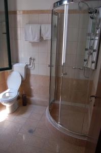 a bathroom with a shower, toilet, and sink at Diethnes in Larisa