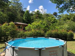 a small pool in a yard with a house at No Sólo Río in La Vega