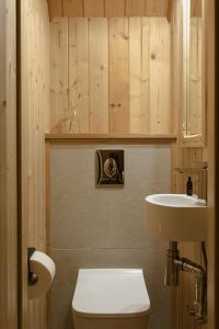 A bathroom at Domek Pod Lipkami