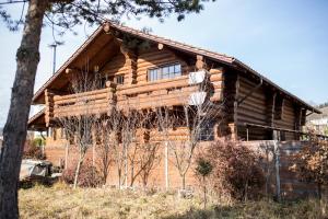 a log cabin with trees in front of it at Casa de Munte in Vatra Dornei