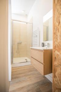 a bathroom with a shower and a sink at AUDREY-Quartier Mairie-arènes antiques in Périgueux