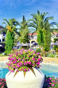 a large planter filled with flowers next to a pool at Chrousso Village in Paliouri