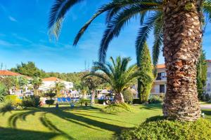 a group of palm trees in a park at Chrousso Village in Paliouri
