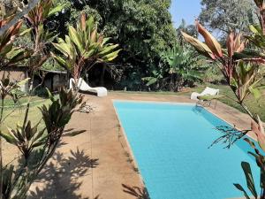 a swimming pool in a garden with two chairs and trees at Sitio Carvalho da Serra in Caeté