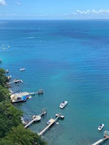 una vista aérea de un puerto con barcos en el agua en VITORIA MARINA Flat CORREDOR DA VITORIA en Salvador