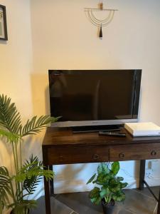 a television on a wooden table with two plants at Moderne, 2 chambres, 6 Couchages, EASY CHECK-IN in Nice