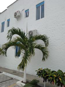 a palm tree in front of a white building at Departamento Tonsupa, Conjunto Santorini Blue in Tonsupa