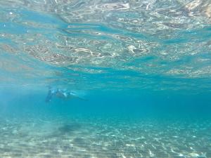 Επισκέπτες που μένουν στο Corfu Glyfada Sea blue 137