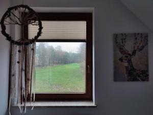 Fotografia z galérie ubytovania Danielówka w lesie v destinácii Lipka