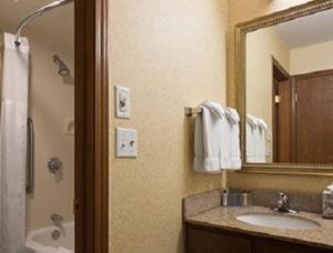 a bathroom with a sink and a mirror at Suburban Studios in Fort Wayne +13 photos