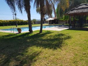 a shadow of a palm tree next to a swimming pool at casa chalet santa rosa in San Juan