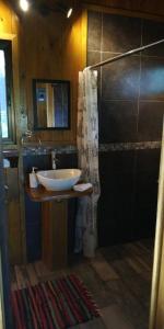 a bathroom with a sink and a shower at Casa el Colibrí in Parrita