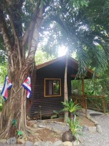 una pequeña casa sentada junto a un árbol en Casa el Colibrí, en Parrita