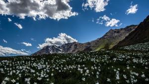Paesaggio naturale nelle vicinanze dell'hotel