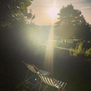 una silla sentada en el césped con el sol brillando en L’Alcalys - Maison de vacances au vert - Sans TV en Saint-Aignan