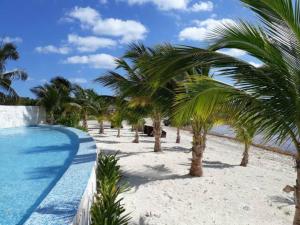 a beach with palm trees and a swimming pool at Ocean front apartment in Cancun in Cancún