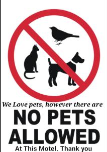 a sign that reads no pets allowed at this model at City Lights Motel in Tweed Heads