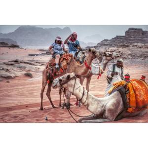 un grupo de personas montando en camellos en el desierto en Wadi Rum Dream Camp, en Wadi Rum