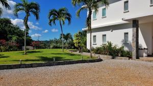 a house with palm trees and a gravel driveway at Villa Salamandra in Las Galeras