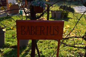Giardino di Baberius