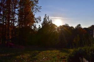 Paesaggio naturale nelle vicinanze della casa vacanze