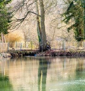 Paesaggio naturale nelle vicinanze dell'appartamento