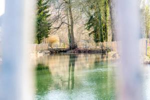 Paesaggio naturale nelle vicinanze dell'appartamento