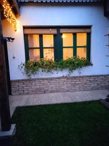 a house with a window with plants on it at Veranda Vendégház in Kismaros