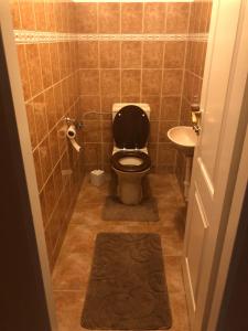 Koupelna v ubytování Apartmán u Míši