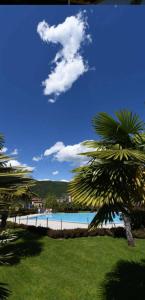 vista su una spiaggia con palme in primo piano di La Casa di Lella in residence con piscina a Paratico