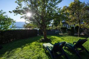 2 Stühle und ein Tisch unter einem Baum in der Unterkunft Aberseeblick Pension Ellmauer in St. Wolfgang