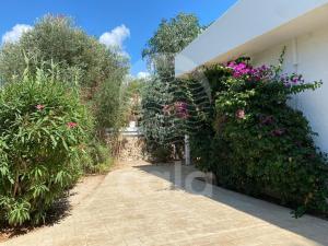 a garden with flowers and plants on a building at Villa Sebastia - 100m dalla spiaggia By Cala Salento in Torre Lapillo