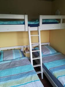 two bunk beds sitting next to each other in a room at Müller's Ferienbungalow "Zur Göltzschtalbrücke" in Greiz