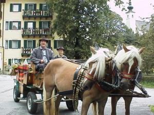 Hosté ubytování Torrenerhof