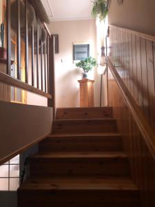 Fotografie z fotogalerie ubytování Apartmán u Míši v Suchdolu nad Lužnicí