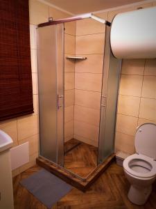 a shower stall with a toilet in a bathroom at Apartmán domeček u Švestků in Čížov