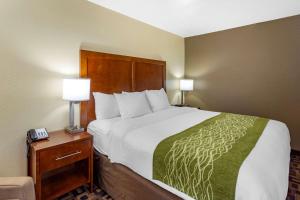 a large bed in a hotel room with two lamps at Comfort Inn & Suites North Aurora - Naperville in Aurora