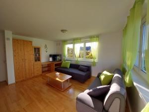 a living room with a couch and a table at Apartma TiJa in Moravske-Toplice