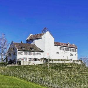 um grande edifício branco sentado no topo de um campo em Hotel & Restaurant Schloss Schwandegg em Oberstammheim