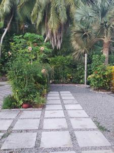 a stone walkway in a garden with plants and palm trees at Chez Mera Self Catering in La Digue