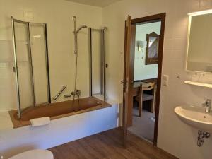 a bathroom with a shower and a tub and a sink at Hotel Restaurant Albans Sonne in Bad Rippoldsau